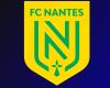 Ein Spieler des FC Nantes auf dem Weg in die Premier League?