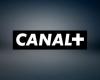 Canal+: Der Konzern riskiert eine Steueranpassung von 655 Millionen Euro