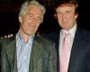 Trump und Epstein: Epstein zeigte Fotos von Trump mit oben ohne Frauen, er könnte Donald ruinieren, behauptet der Autor