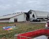 Großbrand auf einer Lyster-Farm