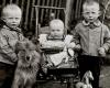 Bei Paris Photo August Sander und seine 600 Deutschen-Porträts