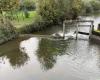 Umfeld. Derzeit laufen Restaurierungsarbeiten an der Sélune in Saint-Hilaire-du-Harcouët