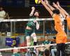 Volleyball: Nach der Niederlage in Narbonne setzte sich der MHSC VB in Tourcoing erneut durch