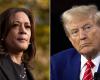 Live-Updates: Donald Trump, Kamala Harris Wahlnachrichten