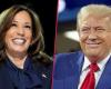 US-Wahl: Trump vs. Harris – Wofür stehen die Kandidaten? | Politik