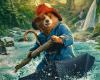 „Paddington in Peru“: Weltpremiere in London für den Bären, der „nichts von seinem Charme und seinem Schalk verloren hat“