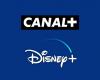 Canal+ wird sehr bald den Zugang zum Disney+-Streaming-Katalog verlieren