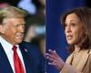 Wann werden wir wissen, wer gewonnen hat, Kamala Harris oder Donald Trump?