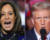 Donald Trump, Kamala Harris, wer wird Präsident der USA?