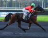 Lacinia glänzt mit Eric Raffin bei seinem Debüt in Vincennes