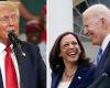 War Joe Biden ein besserer Kandidat als Kamala Harris? Experten für Wahldaten-Schock