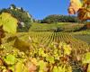 IN BILDERN. In dieser Lage des Jura wurde die Landschaft endgültig von Masten und Stromleitungen befreit