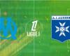 Auxerre: Um wie viel Uhr und auf welchem ​​Kanal kann man heute Abend das Spiel der Ligue 1 sehen?