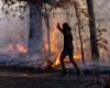 Nach der Evakuierung von 10.000 Menschen wütet ein Waldbrand in der Nähe von Los Angeles