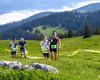 Die Areuse-Schluchten, besucht vom Swiss Canyon Trail