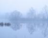 Bedeckter Himmel, fehlende Sonne, Nebel: Indre-et-Loire erlebt einen der schlimmsten Anfang November seit 25 Jahren