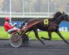 Lovely du Vallon gewinnt mit Mathieu Mottier in Vincennes