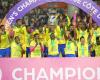 Welcher Verein wird die Nachfolge der Mamelodi Sundowns Ladies antreten?