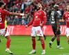 „Das Beste dieser Mannschaft, das werden wir jetzt sehen“: eine starke Truppe im Dienste von Stade Brestois