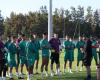 Die Löwenbabys von Tarik Sektioui beim Vorbereitungstraining in Salé