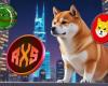 Möglicherweise haben Sie Shiba Inu (SHIB) und Pepe Coin (PEPE) verpasst, aber es ist noch nicht zu spät, mit diesem Token 5.000 US-Dollar in 1.074.700 US-Dollar zu verwandeln