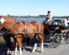 Bei einem Spaziergang mit seinen Enkelkindern kommt André Louvigny bei einem Kutschenunfall in Bougnimont (Libramont) ums Leben.