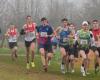 Centre-Finistère – 500 Läufer werden für den Crosslauf der Quimper Athletics am Montag, den 11. November, erwartet