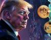 Trump und Elon Musk lassen Bitcoin (BTC) auf neue Höchststände steigen, während Dogecoin (DOGE) parabolisch wird. Wie geht es weiter?