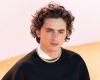 Anekdote: Damals wurde Timothée Chalamet gebeten, an Gewicht zuzunehmen