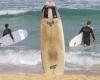 Laut australischen Forschern trägt das Anzünden Ihres Surfbretts dazu bei, das Risiko von Angriffen durch Weiße Haie zu verringern