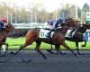 Long Island gewinnt mit Mathieu Mottier diesen Dienstag in Vincennes