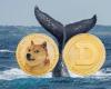 Das explosive Comeback von Dogecoin: 0,41 $ heute, 2,40 $ morgen?