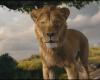 Mufasa nimmt sich mit seinem neuesten Trailer einige Freiheiten