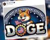 die kleine Geschichte hinter Doge, Elon Musks neuem Ministerium