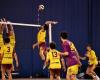 VOLLEYBALL: Ein schwieriges Wochenende für Le Creusot…