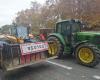 Toulouse. Die Landwirte bereiten bis Ende des Monats eine groß angelegte Mobilisierung vor