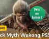 Mit einer Bewertung von 16/20 auf PS5 ist Black Myth Wukong zu einem reduzierten Preis zur Vorbestellung erhältlich