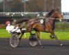 Donnerstag, 14.11. in Vincennes – Prix Agathe: Das Green Ticket ist da