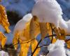 Sonntag, „Tag des Übergangs“: Am Montag kommt der Winter: Der Schnee flirtet mit der Ebene!