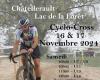 Châtellerault 16. und 17. November 2024 Cyclocross-Teilnehmer