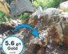 Goldfelder in Beauce. Massenprobe aus Grondin-Ausbiss ergibt 5,6 g/t Gold