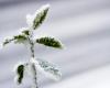 Mit der Rückkehr von Schnee und Kälte sieht das Wetter diese Woche winterlich aus