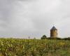 KARTE. Muscadet, durch diese zehn Weingüter in der Loire-Atlantique