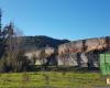 Am Ufer des Lot in Cahors wächst ein Stadtwald