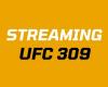 UFC 309 streamen: So können Sie die Kämpfe ganz einfach live verfolgen