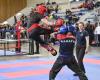 Karate: Gard und Nîmes, Hochburgen der Disziplin, die den Coupe de France organisieren