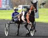 Die Top 3 der Equidia-Journalisten für das Q1-Rennen des Prix de BretagneAmérique in Vincennes