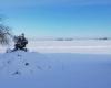 Schnee: Regionen, in denen es in den Ebenen fallen kann