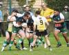 Rugby, Federal 2: Vergt hätte in Villeneuve-sur-Lot mehr verdient