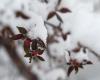 Winterwarnungen in den gesamten Vereinigten Staaten, wo an diesem Wochenende Schnee zu sehen sein könnte